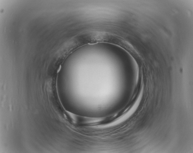 X0000073470217200608041126
