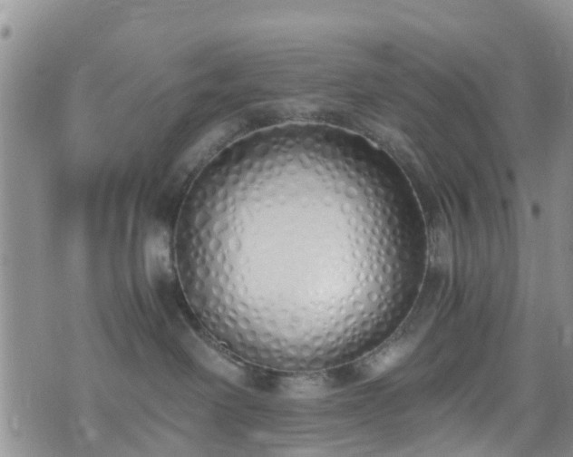 X0000073470238200608041125
