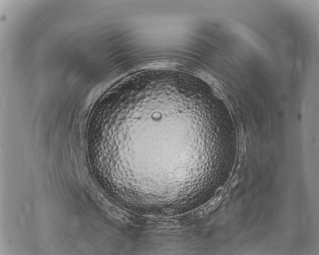 X0000073470337200608041123