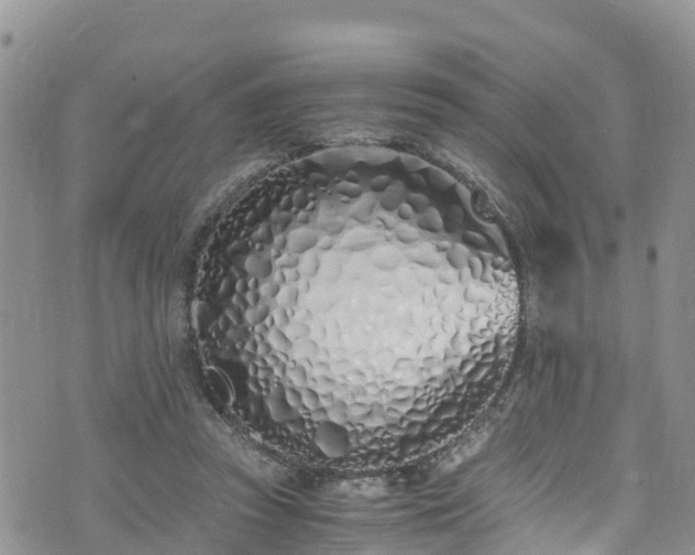 X0000073470353200608041123