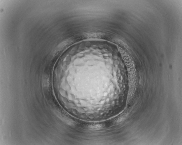 X0000073470357200608041123