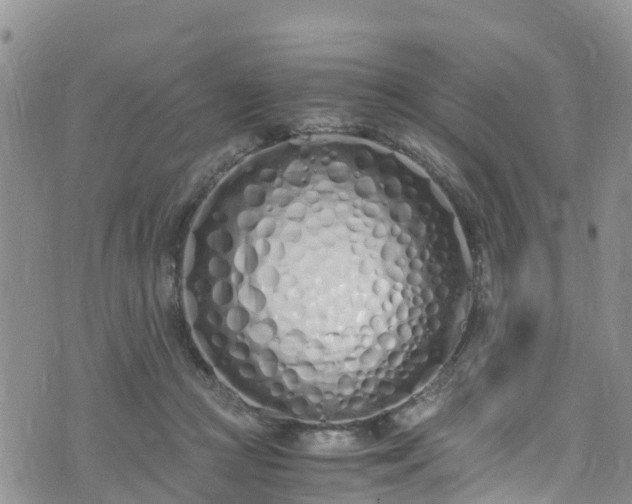 X0000073470361200608041123