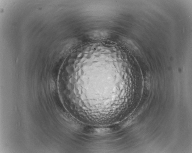X0000073470371200608041124