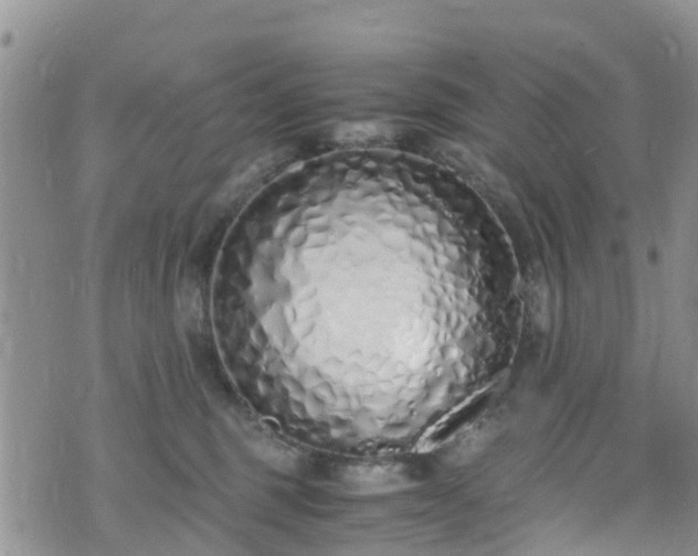 X0000073470375200608041124