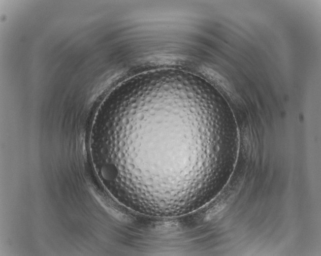 X0000073470398200608041123