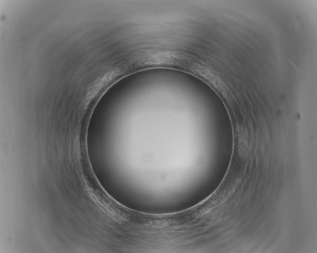 X0000073470482200608041121