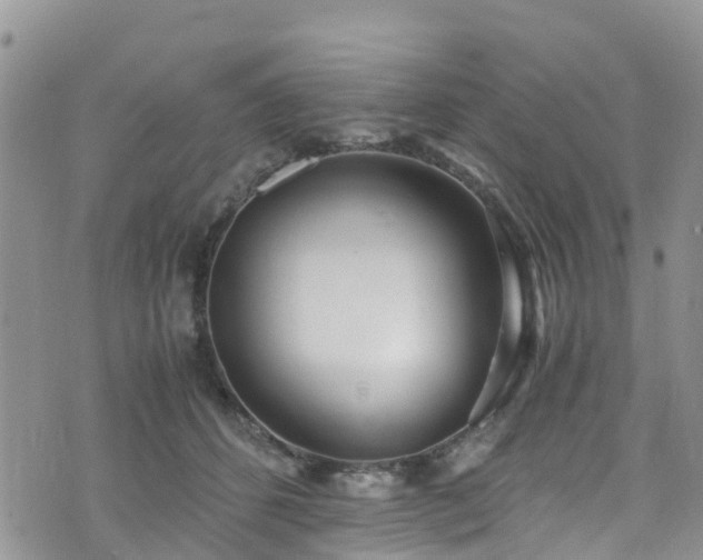X0000073470512200608041121