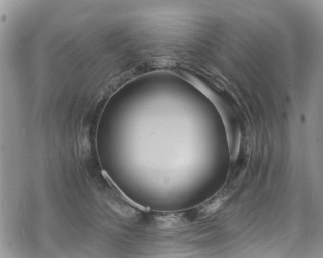 X0000073470516200608041121