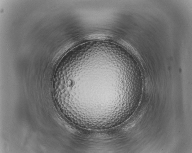 X0000073470529200608041120