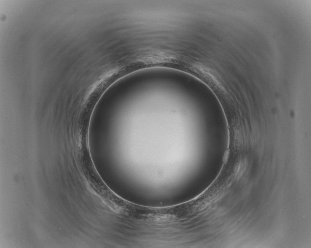X0000073470539200608041120