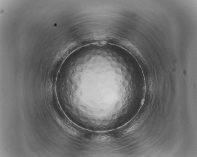 X0000073470542200608041120