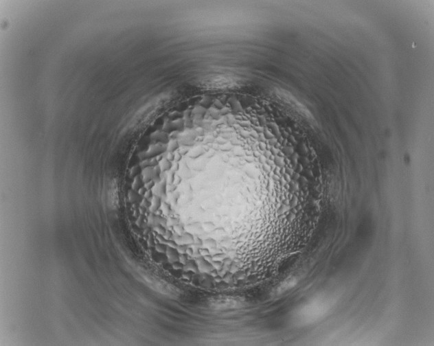 X0000073470549200608041120