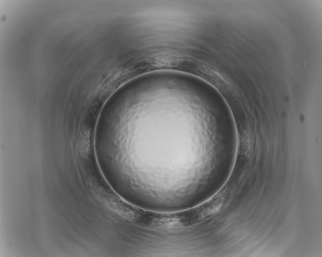 X0000073470554200608041120
