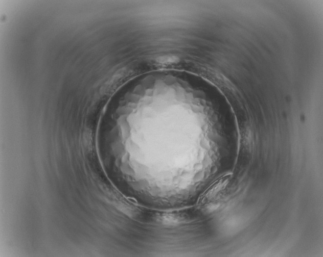 X0000073470565200608041121