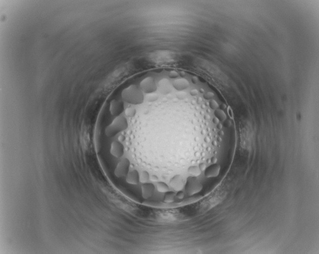 X0000073470618200608041119