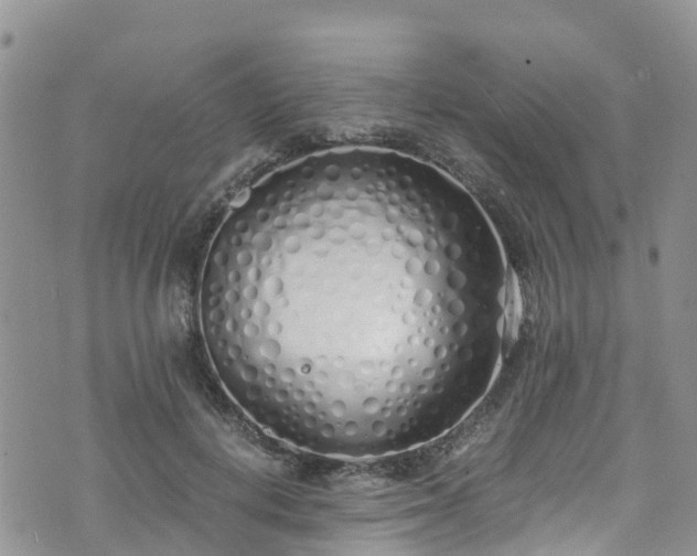 X0000073470648200608041119