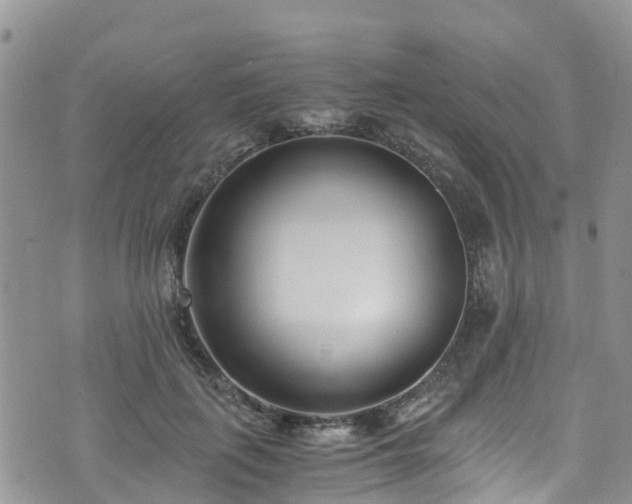 X0000073470651200608041119