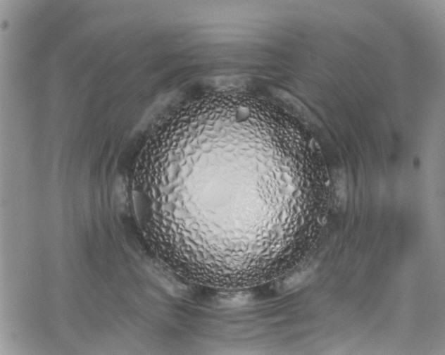 X0000073470667200608041119