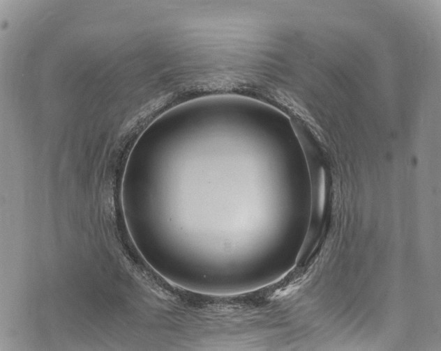 X0000073470681200608041118