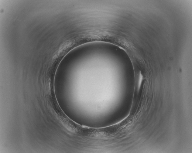 X0000073470685200608041118
