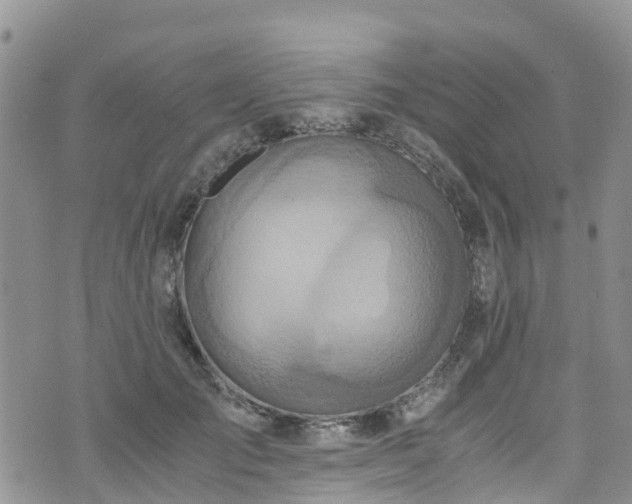 X0000073470701200608041118