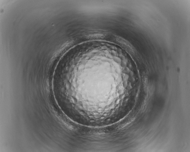 X0000073470729200608041117