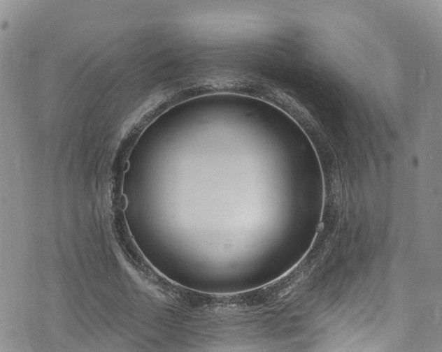 X0000073470730200608041117