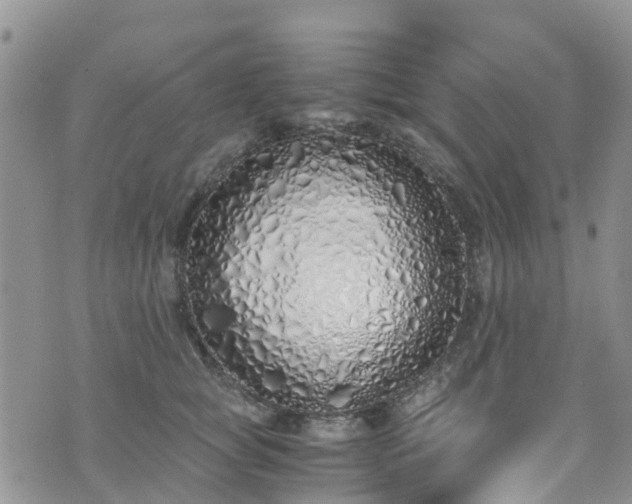X0000073470757200608041117
