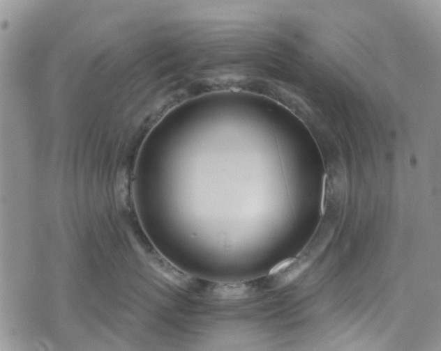 X0000073470767200608041118