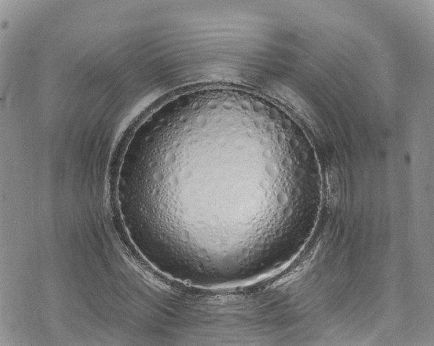 X0000073470780200608041117
