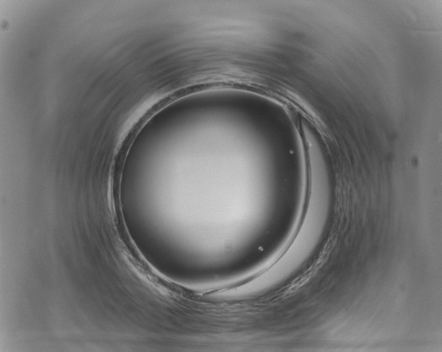 X0000073470788200608041117