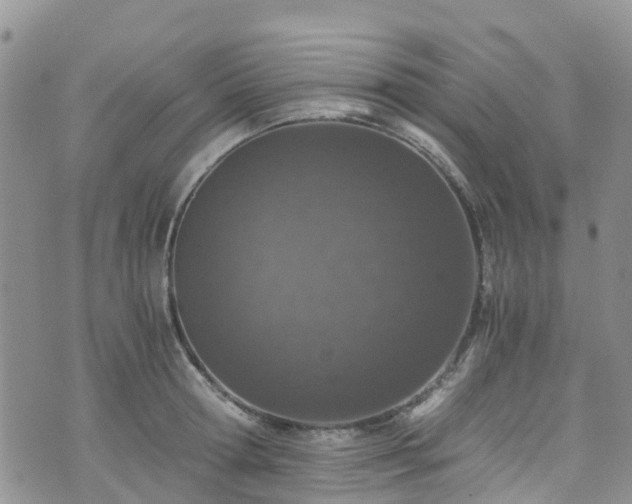 X0000073470802200608041116