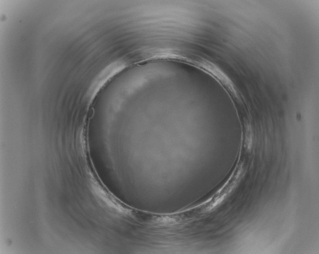 X0000073470806200608041116