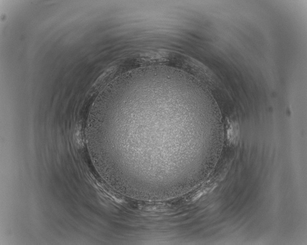 X0000073470819200608041115