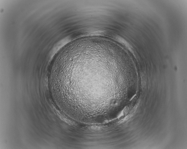 X0000073470827200608041115