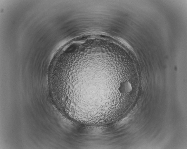 X0000073470831200608041115