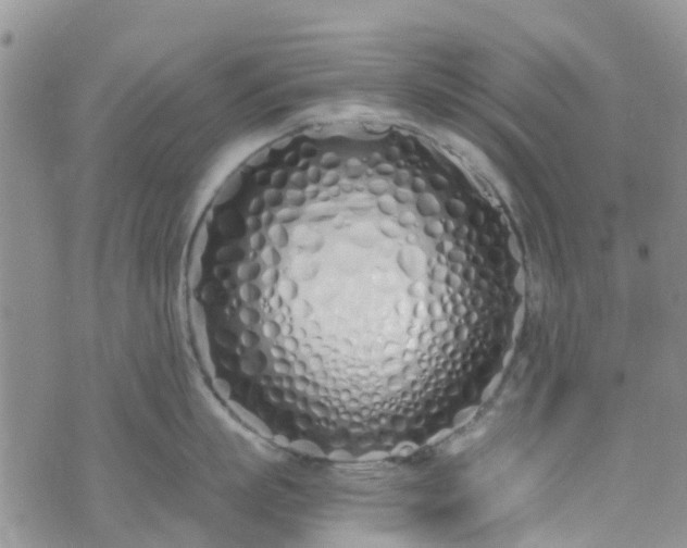 X0000073470863200608041116