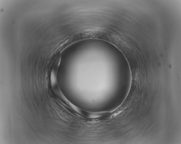 X0000073470868200608041115