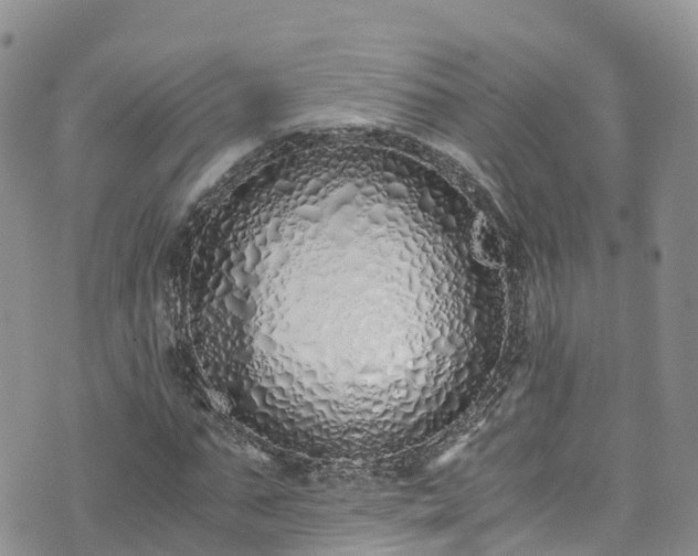 X0000073470871200608041115