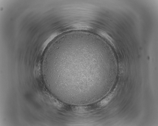X0000073470875200608041115