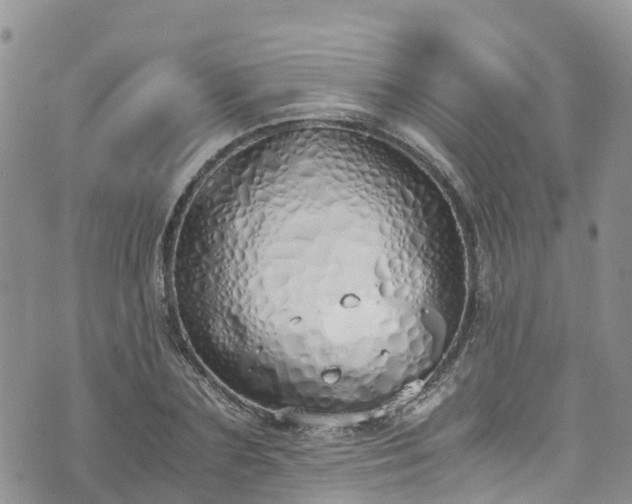 X0000073470883200608041115