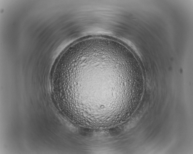 X0000073470887200608041115