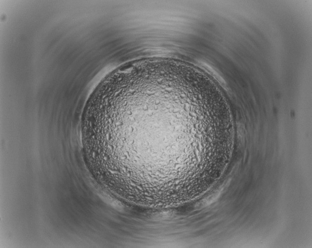 X0000073470891200608041115