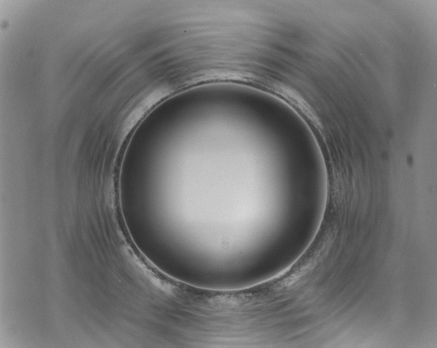 X0000073470898200608041115
