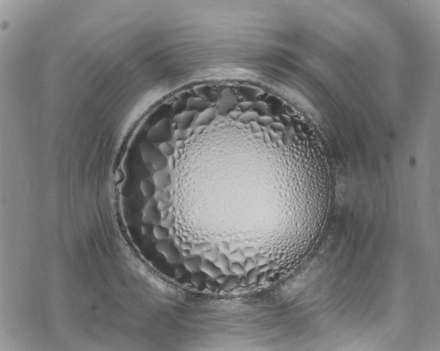 X0000073470990200608041113