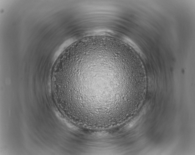 X0000073470994200608041113