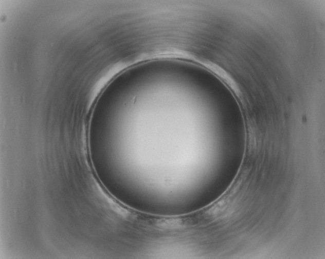 X0000073471006200608041113