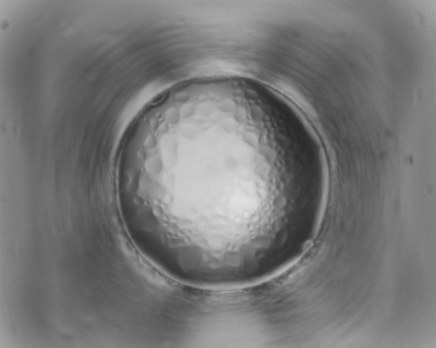 X0000073471008200608041113