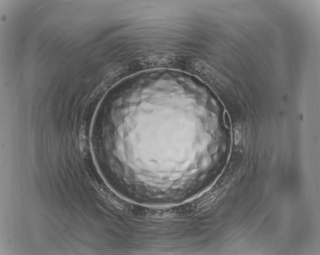 X0000073471011200608041112