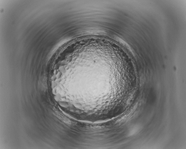 X0000073471019200608041112